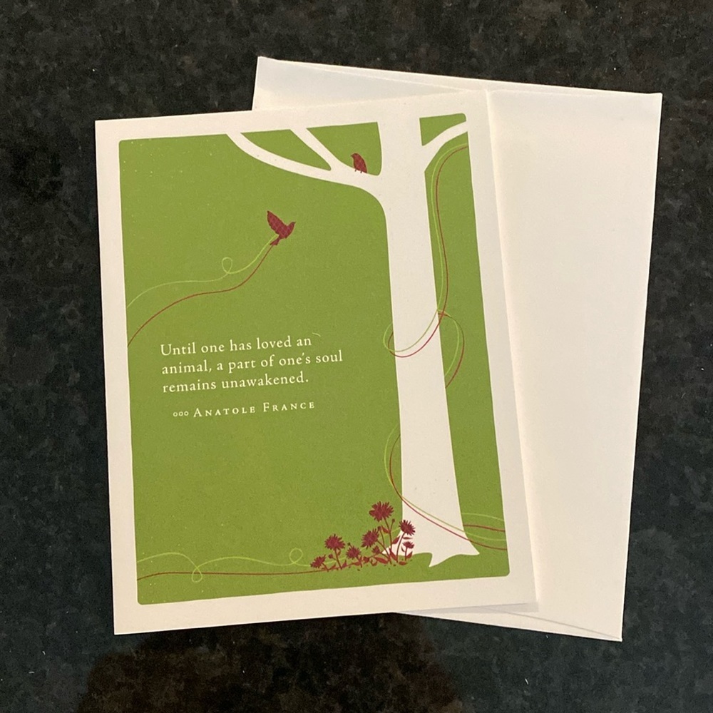 Compendium Positively Green Pet Sympathy Card and Envelope